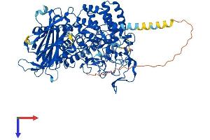 GCS1 Protein (AA 1-834) (His tag)