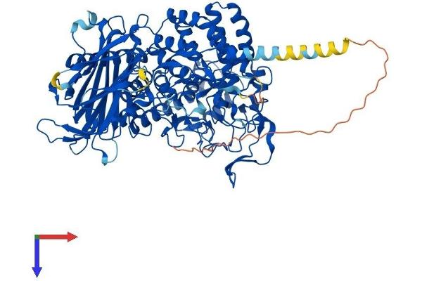 GCS1 Protein (AA 1-834) (His tag)
