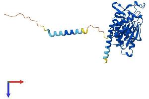 SGK196 Protein (AA 1-350) (His tag)
