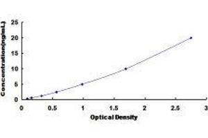 Transglutaminase 3 (E Polypeptide, Protein-Glutamine-gamma-Glutamyltransferase) (TGM3) ELISA Kit