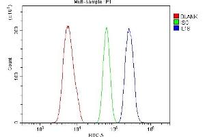 Flow Cytometry analysis of ANA-1 cells using anti-IL18 antibody (ABIN7601462). (IL-18 Antikörper  (AA 36-177))