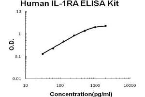ELISA image for Interleukin 1 Receptor Antagonist (IL1RN) ELISA Kit (ABIN921100)