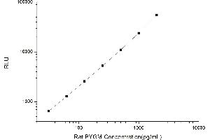 Typical standard curve (PYGM CLIA Kit)