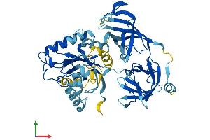 AlphaFold protein structure predicition of Human Recombinant EEF1A1P5 Protein, UniprotID Q5VTE0