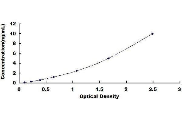 EGR1 ELISA Kit