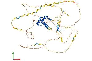 Protein Structure (PS) image for Homeobox A3 (HOXA3) (AA 1-443) protein (His tag) (ABIN7548414)