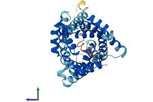 Protein Structure (PS) image for Solute Carrier Family 25 (Mitochondrial Carrier, Graves Disease Autoantigen), Member 16 (SLC25A16) (AA 1-332) protein (His tag) (ABIN7547985)