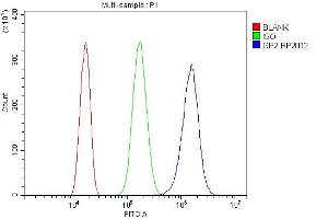 Flow Cytometry analysis of Neuro-2a cells using anti-Gp2 antibody (ABIN7601427). (GP2 Antikörper  (AA 35-497))