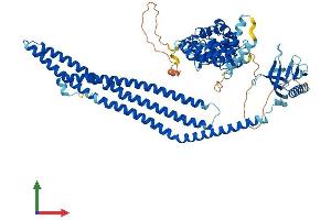 Protein Structure (PS) image for ArfGAP with Coiled-Coil, Ankyrin Repeat and PH Domains 1 (ACAP1) (AA 1-740) protein (His tag) (ABIN7551800)