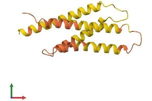 AlphaFold protein structure predicition of Human Recombinant PBOV1 Protein, UniprotID Q9GZY1