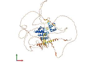AlphaFold protein structure predicition of Human Recombinant SIX5 Protein, UniprotID Q8N196