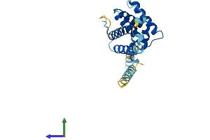 Protein Structure (PS) image for BCL2-Related Ovarian Killer (BOK) (AA 1-213) protein (His tag) (ABIN7562316)