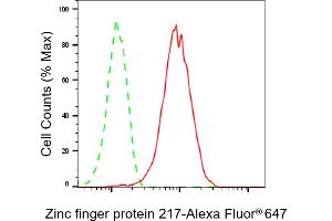 Flow cytometric analysis of Zinc finger protein 217 expression in HAP-1 cells using Zinc finger protein 217 antibody (ABIN7800894), 1:2,000). (Rekombinanter ZNF217 Antikörper)