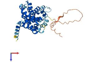 TMEM38A Protein (AA 1-298) (His tag)