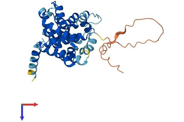 TMEM38A Protein (AA 1-298) (His tag)
