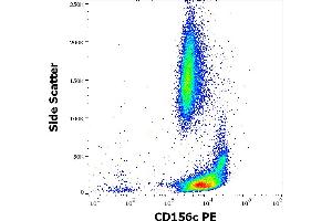 Flow cytometry surface staining pattern of human peripheral whole blood stained using anti-human CD156c (11G2) PE antibody (10 μL reagent / 100 μL of peripheral whole blood). (ADAM10 Antikörper  (PE))