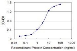 Detection limit for recombinant GST tagged SLC11A2 is 0. (SLC11A2 Antikörper  (AA 1-65))