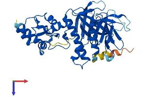 ADAP2 Protein (AA 1-381) (His tag)