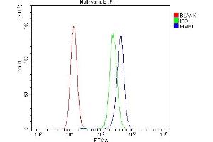 Flow Cytometry analysis of PC-3 cells using anti-MMP1 antibody (ABIN7599873).
