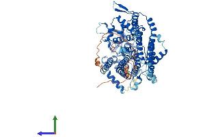 Protein Structure (PS) image for Lipase Maturation Factor 2 (LMF2) (AA 1-707) protein (His tag) (ABIN7554421)
