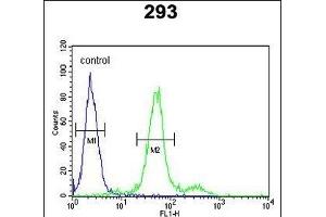 COL18A1 Antibody (N-term) (ABIN652798 and ABIN2842523) flow cytometric analysis of 293 cells (right histogram) compared to a negative control cell (left histogram). (COL18A1 Antikörper  (N-Term))