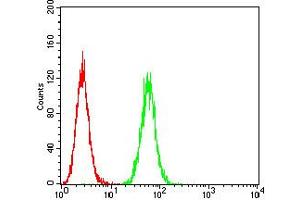 Flow Cytometry (FACS) image for anti-Purinergic Receptor P2Y, G-Protein Coupled, 8 (P2RY8) antibody (ABIN5611348)