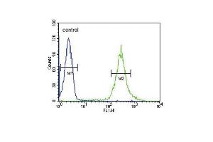 ST8SIA4 Antibody (Center) (ABIN653728 and ABIN2843035) flow cytometric analysis of HL-60 cells (right histogram) compared to a negative control cell (left histogram). (ST8SIA4 Antikörper  (AA 186-214))