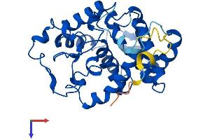 Protein Structure (PS) image for Myo-Inositol Oxygenase (MIOX) (AA 1-285) protein (His tag) (ABIN7561753)