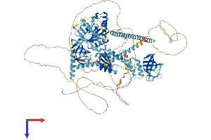 EIF5B Protein (AA 1-1216) (His tag)