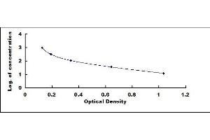 Typical standard curve (Activin B ELISA Kit)