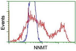 HEK293T cells transfected with either RC200641 overexpress plasmid (Red) or empty vector control plasmid (Blue) were immunostained by anti-NNMT antibody (ABIN2454302), and then analyzed by flow cytometry.