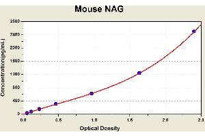 Diagramm of the ELISA kit to detect Mouse NAGwith the optical density on the x-axis and the concentration on the y-axis. (MGEA5 ELISA Kit)