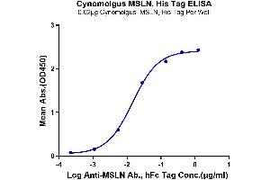Immobilized Cynomolgus MSLN at 0. (Mesothelin Protein (MSLN) (His tag))