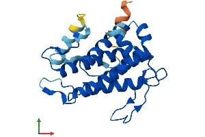 Protein Structure (PS) image for MOB Kinase Activator 3B (MOB3B) (AA 1-216) protein (His tag) (ABIN7559880)