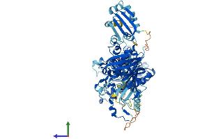 Protein Structure (PS) image for Hydroxysteroid (17-Beta) Dehydrogenase 4 (HSD17B4) (AA 1-735) protein (His tag) (ABIN7563387)
