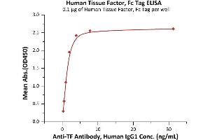 Immobilized Human Tissue Factor, Fc Tag (ABIN6973034) at 1 μg/mL (100 μL/well) can bind Anti-TF Antibody, Human IgG1 with a linear range of 0. (Tissue factor Protein (AA 33-251) (Fc Tag))