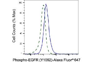 Validation of EGFR knockdown using flow cytometry. (Rekombinanter EGFR Antikörper  (pTyr1068))