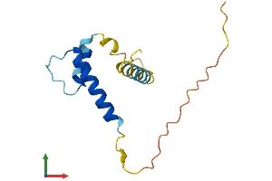 Protein Structure (PS) image for Inhibitor of DNA Binding 3, Dominant Negative Helix-Loop-Helix Protein (ID3) (AA 1-119) protein (His tag) (ABIN7548460)