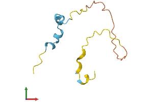 Protein Structure (PS) image for Myeloid/lymphoid Or Mixed-Lineage Leukemia (Trithorax Homolog), Translocated To, 11 (MLLT11) (AA 1-90) protein (Fc Tag) (ABIN7556826)
