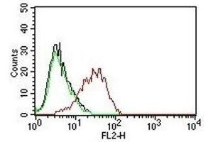 Flow cytometry testing of human MCF-7 cells.