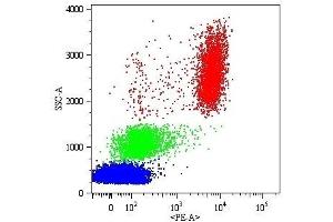 Surface staining of human peripheral blood cells with anti-human CD16 (MEM-154) PE. (CD16 Antikörper)