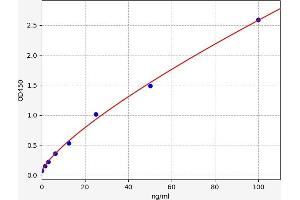 IL7R ELISA Kit