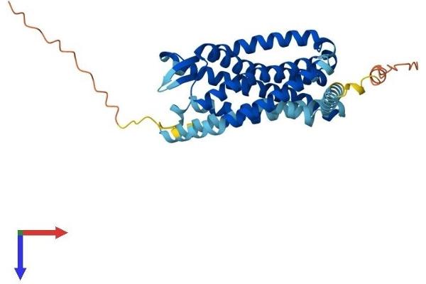 CCR1 Protein (AA 1-355) (His tag)