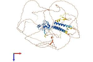 LIN54 Protein (AA 1-749) (His tag)