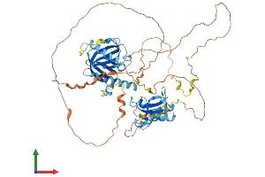 AlphaFold protein structure predicition of Mouse Recombinant Shc2 Protein, UniprotID Q8BMC3