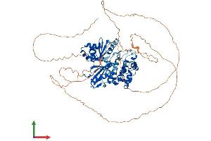 Protein Structure (PS) image for MAP/microtubule Affinity-Regulating Kinase 3 (MARK3) (AA 1-753) protein (His tag) (ABIN7554479)