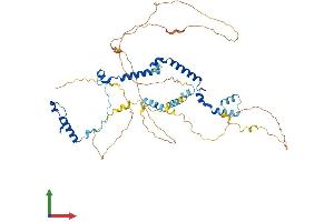 AlphaFold protein structure predicition of Human Recombinant PHACTR3 Protein, UniprotID Q96KR7