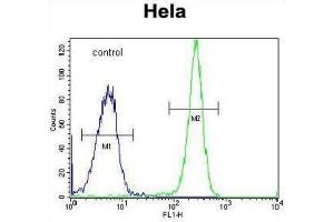 Flow Cytometry (FACS) image for anti-Hyaluronidase-2 (HYAL2) antibody (ABIN2995807)