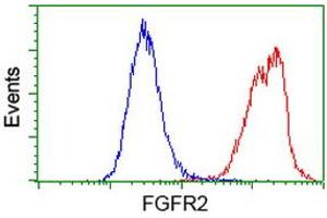 Flow cytometric Analysis of Hela cells, using anti-FGFR2 antibody (ABIN2454521), (Red), compared to a nonspecific negative control antibody, (Blue). (FGFR2 Antikörper)