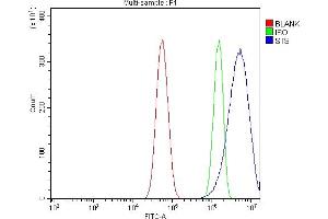 Flow Cytometry analysis of U87 cells using anti-Steroid Sulfatase/STS antibody (ABIN7601166). (STS Antikörper  (AA 297-547))